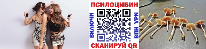 Псилоцибиновые грибы GOLDEN TEACHER  Уяр 